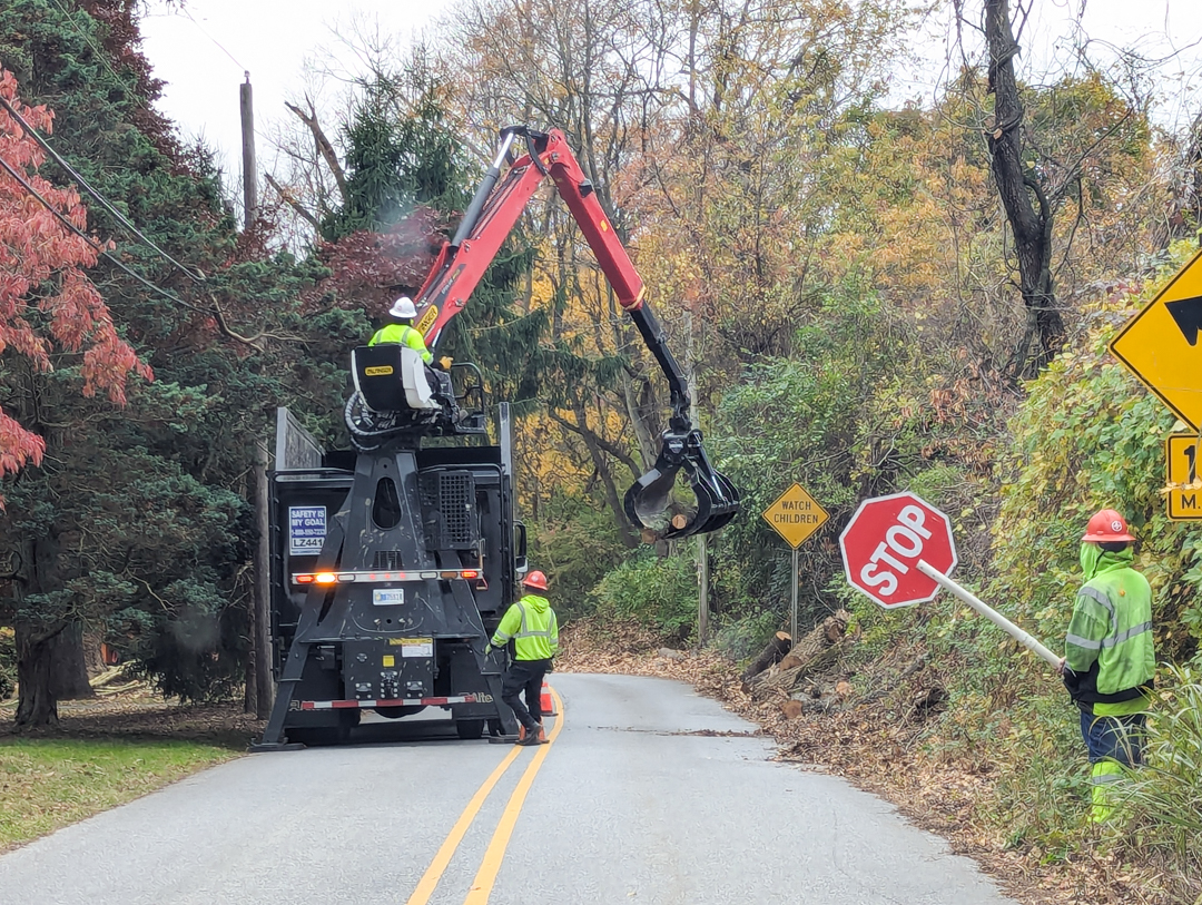 Is every tree truck in Philly on Heyburn Rd?