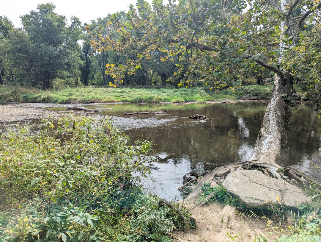 Hike: Harvey Run + Brandywine Conservancy Trails