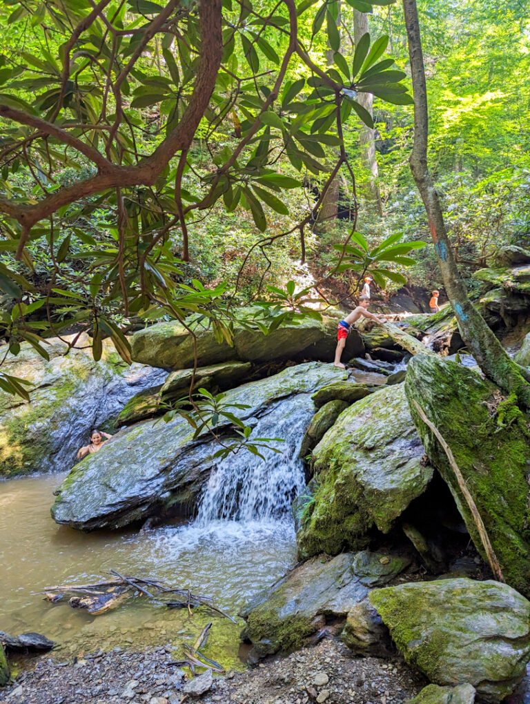Hike: Kelly’s Run Nature Preserve Trail