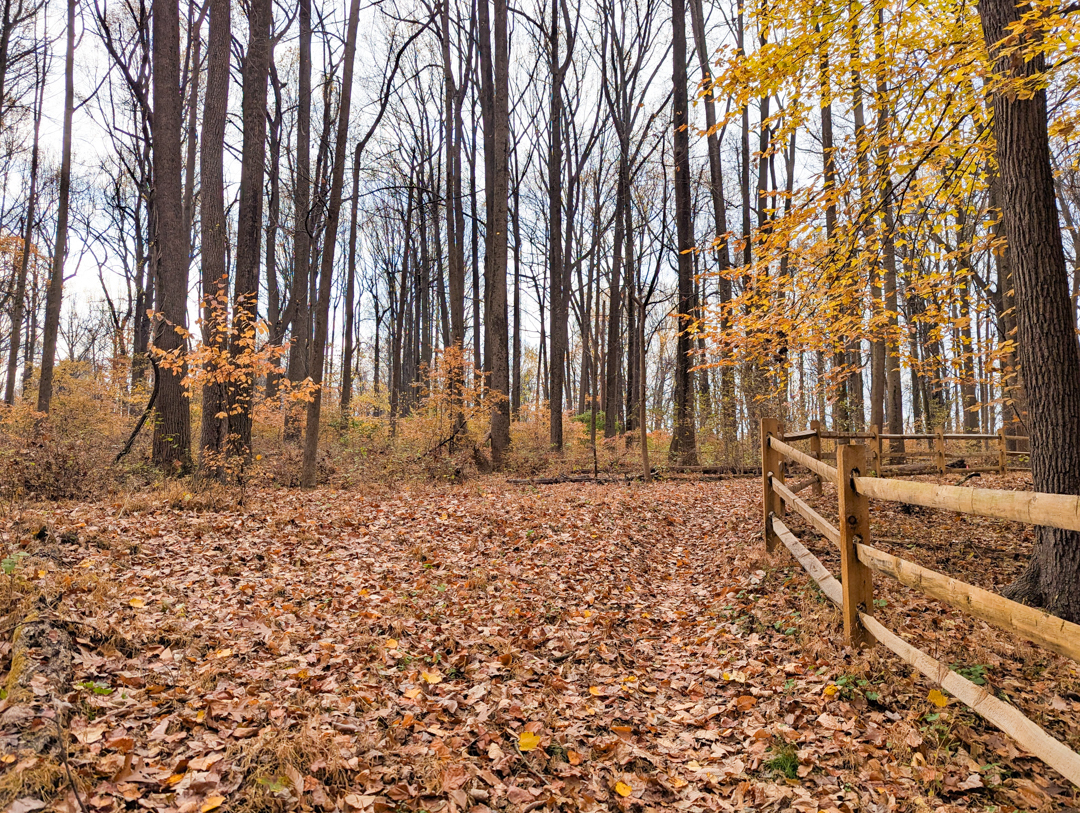 Hike: Smithbridge – Beaver Valley Trails