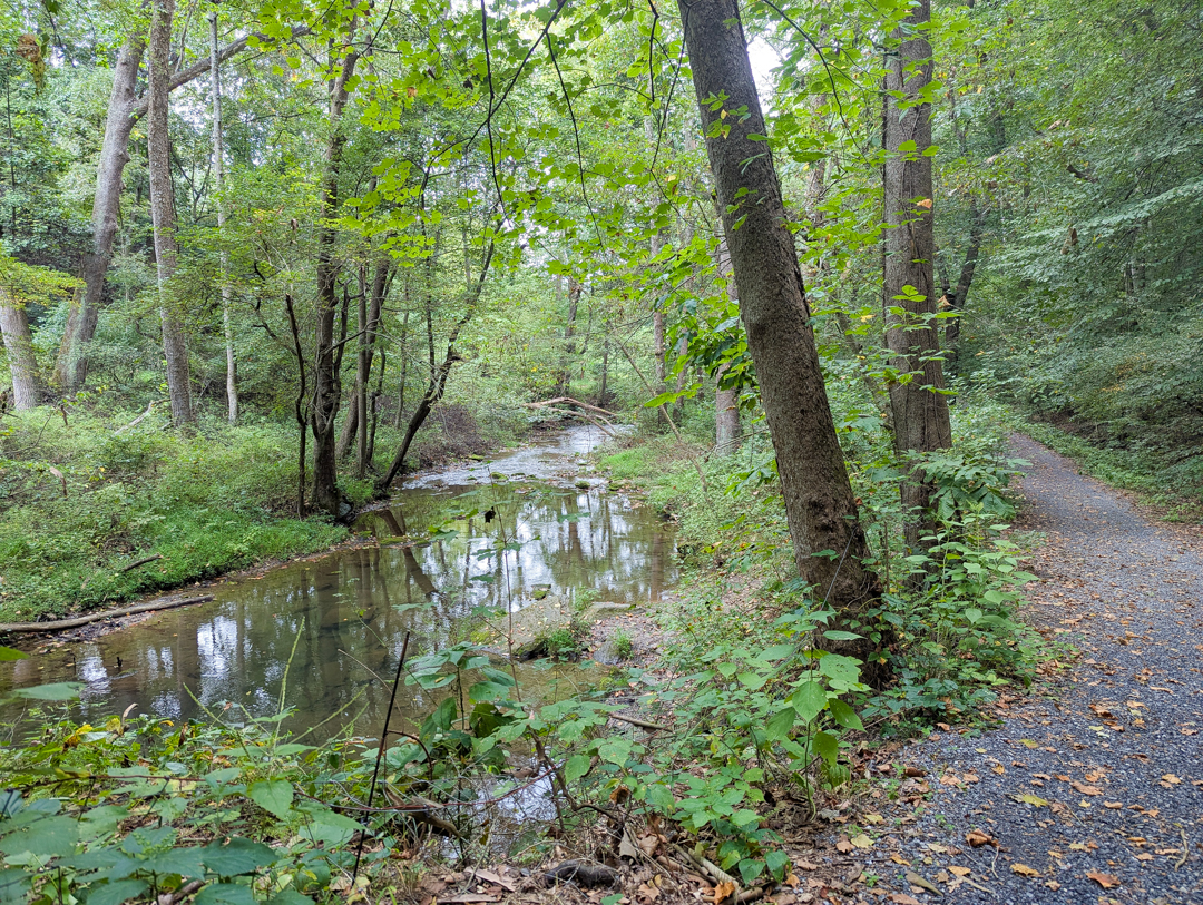 Hike: The Laurel Preserve Trail