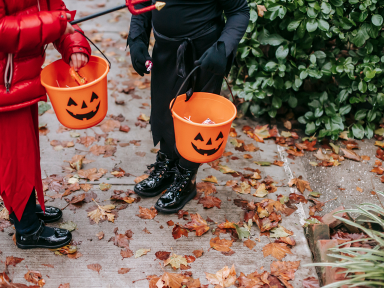Falling into pumpkin season