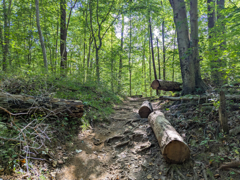 Hike: Rocky Run Loop