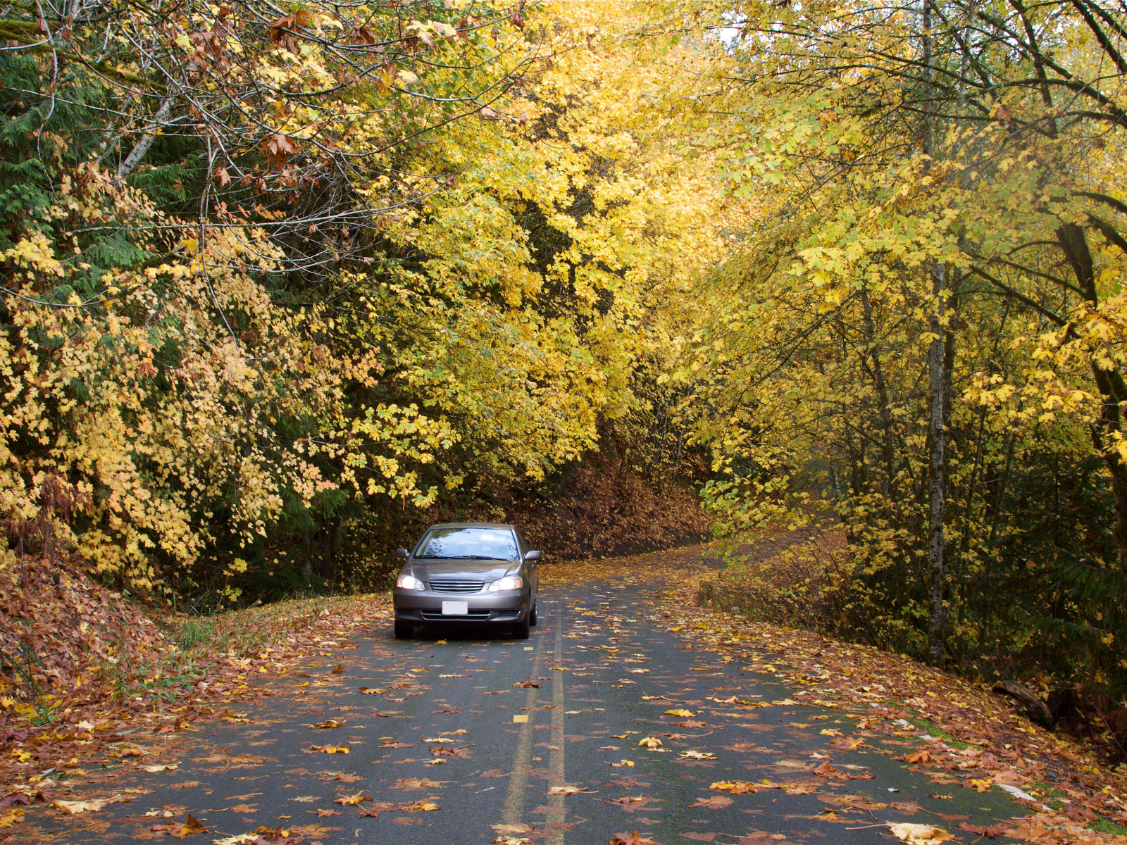 Hey Chadds Ford, Meet Vision Zero