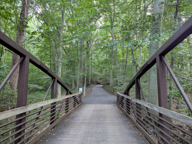 Hike: Alapocas Run State Park Trails