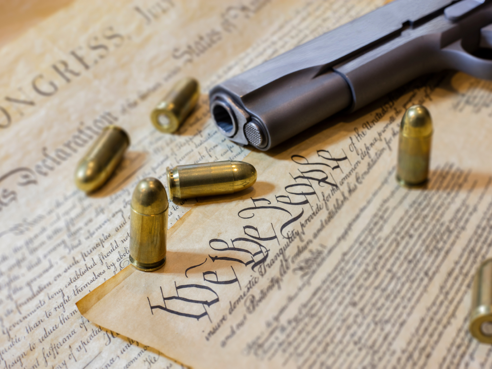 Craig Williams voted against a popular common-sense gun law