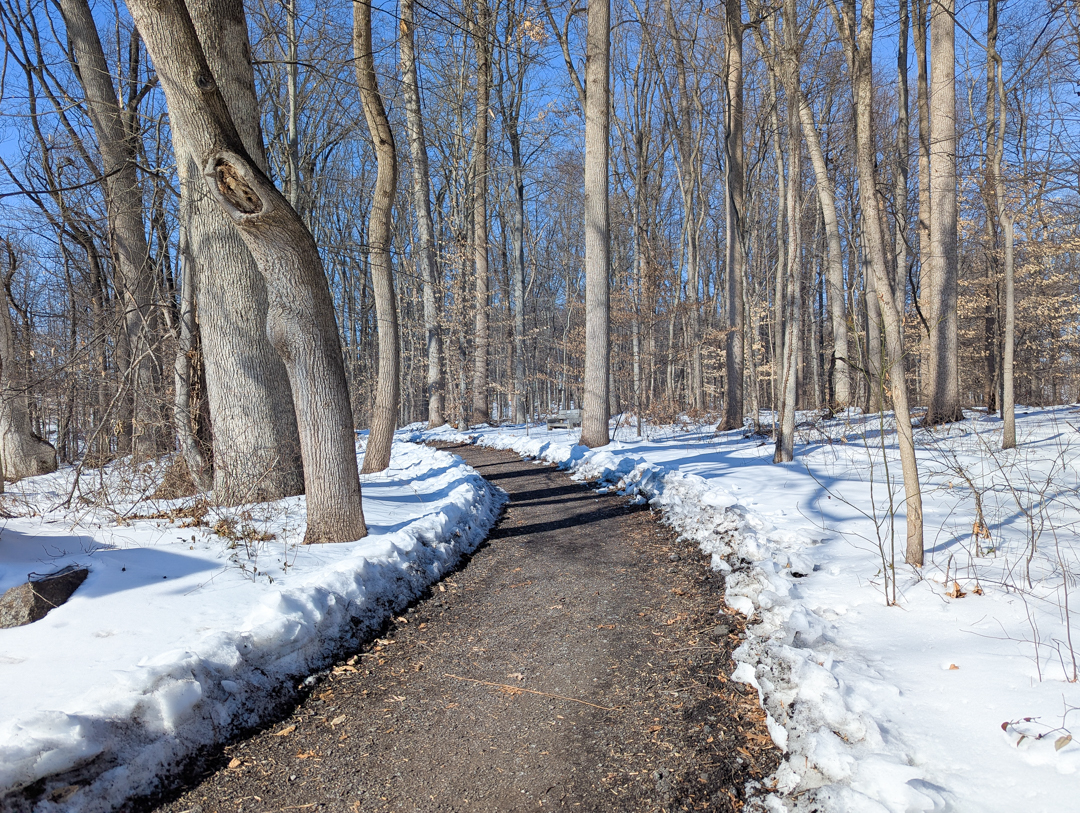 Hike: Pocopson Park