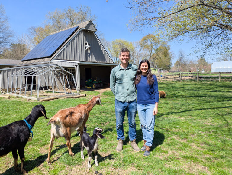 Growing something great at Barnstar Farm