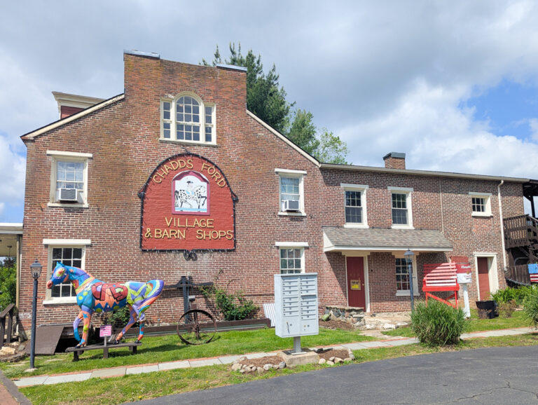 Bringing an indie bookseller to Chadds Ford