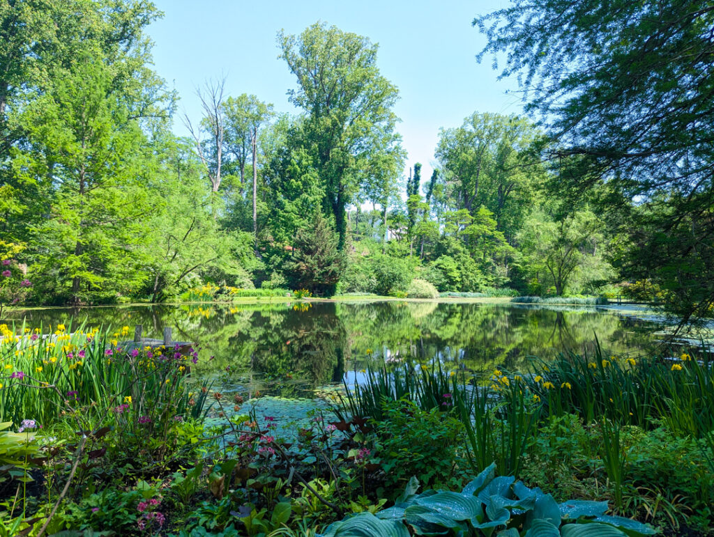 Pond at WynEden in Gardens of Chadds Ford