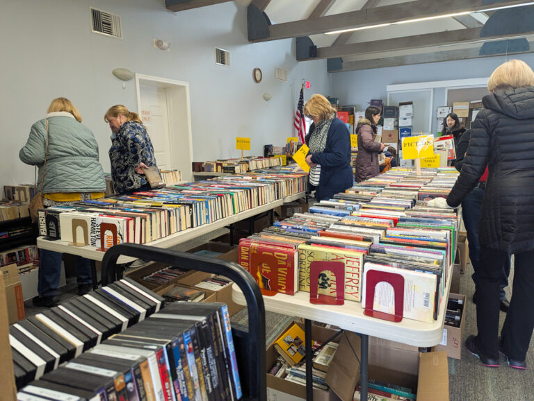 Library Book Sale: Build your home library without breaking the bank (or the planet)