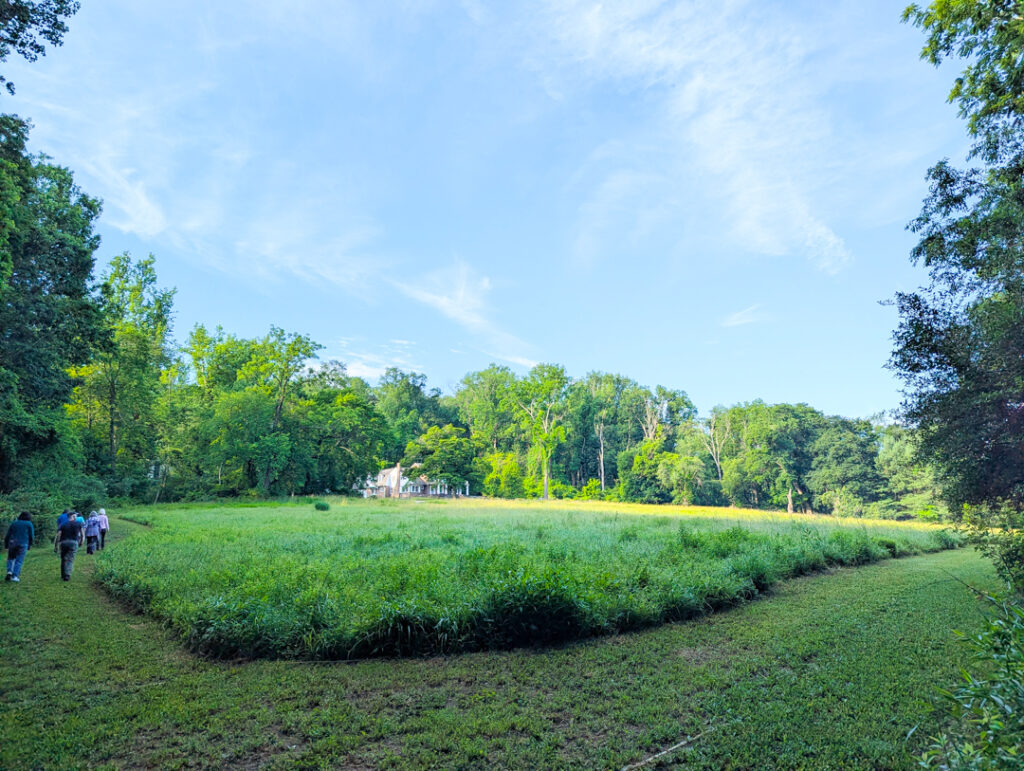 open space in Chadds Ford; voting on the Delco Open Space referendum