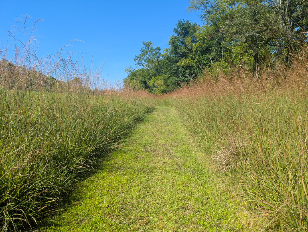 A Delco Open Space referendum on your November ballot
